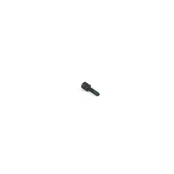 M2.5*10 Screw (10PCS)